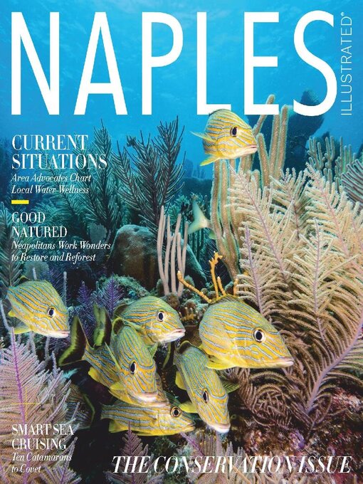 Title details for Naples Illustrated by Palm Beach Media Group North LLC - Available